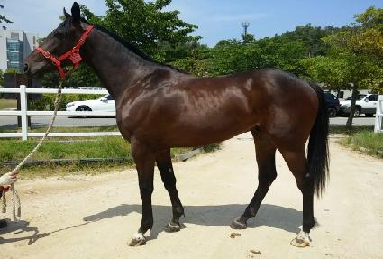 ī�캸��ĸƾ ����