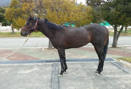 ����ÿ��� ����