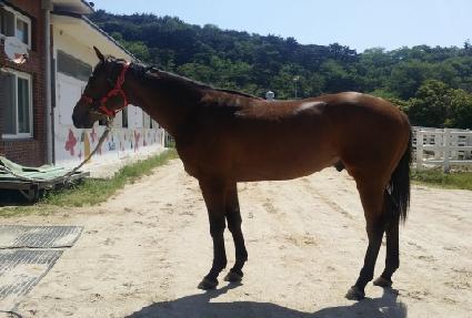 �׷���Ʈ�� ����