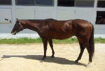 �α;�� (BUGWI YANGYANG) ����