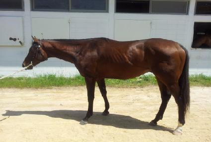 �α;�� ����