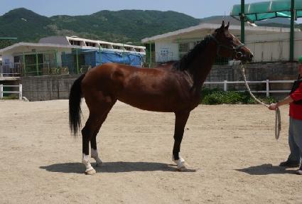 �߸������� ����