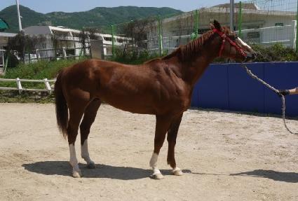 �������̵� ����