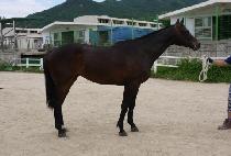 ���õ�� (JANGSAN CHEONHA) ����