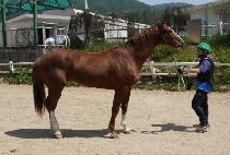 ���ī�캸�� (JANGSAN COWBOY) ����