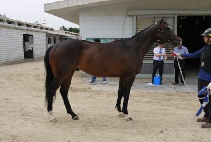 �����ڸ��� ����