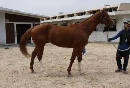 �����ڸ��� ����