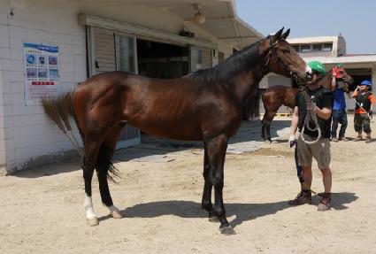 ���Ϻ����̵� ����