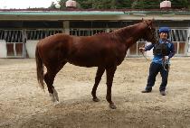 �ٶ��ǿ��� (BARAMUI WANGJA) ����