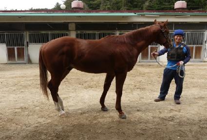 �ٶ��ǿ��� ����