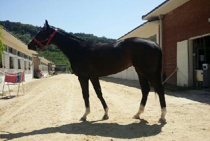 Ž���� ����