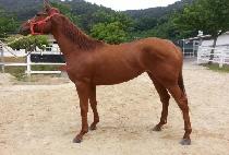 �����忡�� (PROUD HEIR) ����