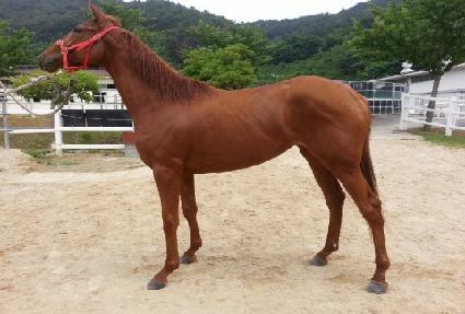 �����忡�� ����