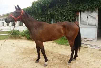 ���� ����