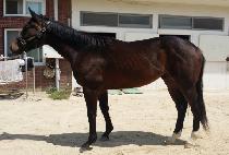 ƼŰ��Ű���� (TICKY TACKY SANDY) ����