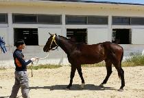 �ְ��Ǽ��� (CHOEGOUI SUNGAN) ����