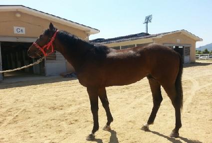 �ְ��Ŀ�Ǯ ����