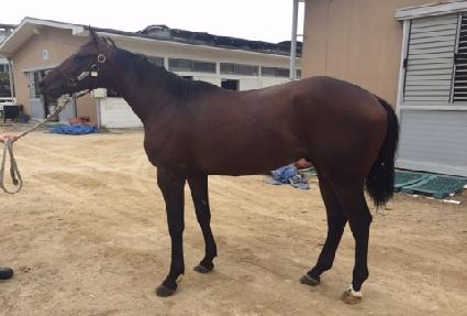 �Ƹ��¸�Ż ����