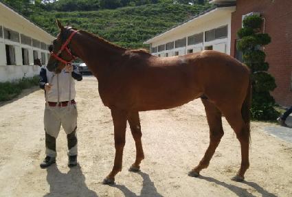 �������� ����