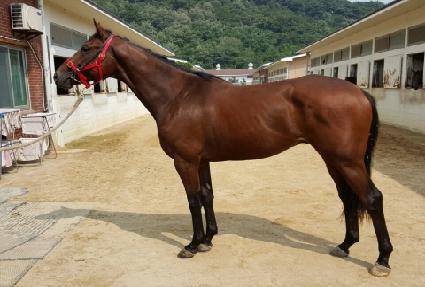 �����ǻ�� ����