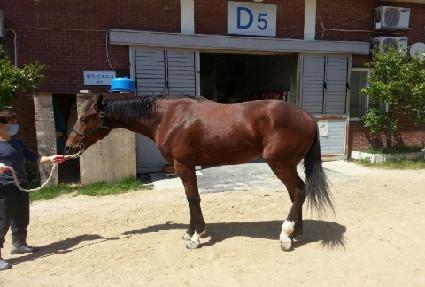 �����ϱ� ����