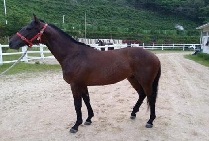 ���ϱ�� ����