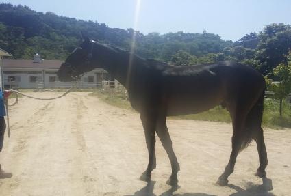 ���Ƿ��̵� ����