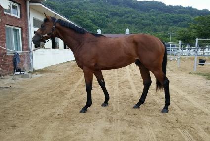 ������ ����