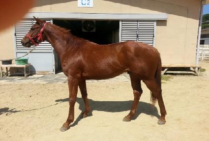 �����ٴ� ����