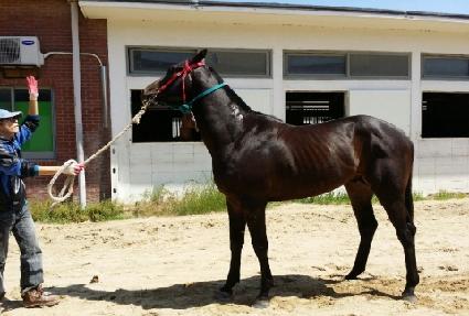 �ٴٽ�Ÿ ����