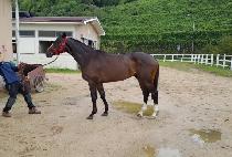 ���罺���� (BLUES MYEONGUN) ����