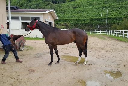 ���罺���� ����