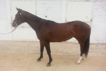 �׸������� ����