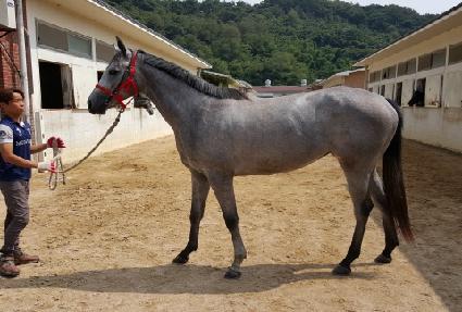 ���۽�Ÿ�� ����