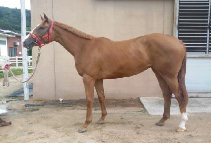 �뽺���ڸ��� ����