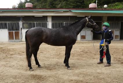 ���η� ����