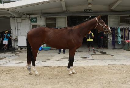 �Ƹ���Ȳ�ݲ� ����