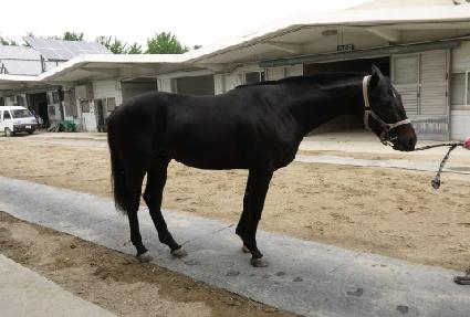 �Ƹ��������� ����