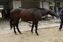 �Ƹ�������� (ARGO SARANGHAE) ����