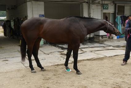 �Ƹ�������� ����