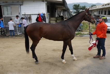 �׷���Ʈ���� ����