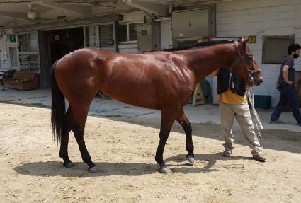 �����׶� ����