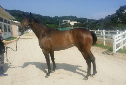 ����ǳ뷡 ����