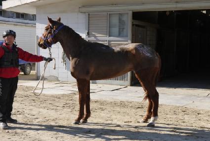 �ö� ����