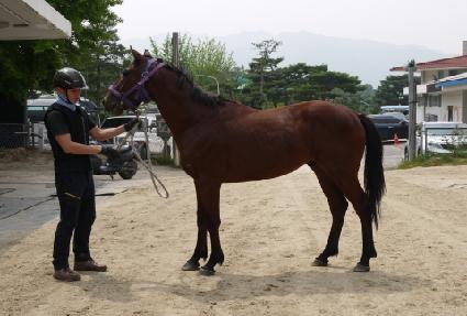 Ž����� ����