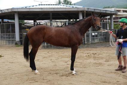 ����Ƽ�� ����