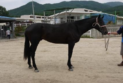 �����ĵ�� ����