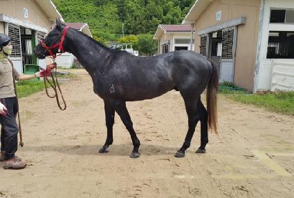 �����̵� ����