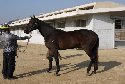 ���ó�� ����