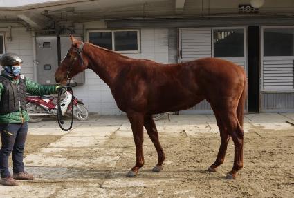 �޷��󷹿� ����